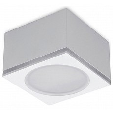 Накладной светильник ambrella light tn tn266